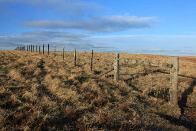 Fenceline on Harbour Hill