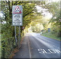 B4246 approaches an arch bridge at a sharp bend