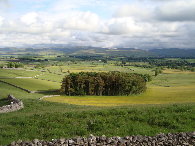 Pasture land near Orton, looking towards the Howgills