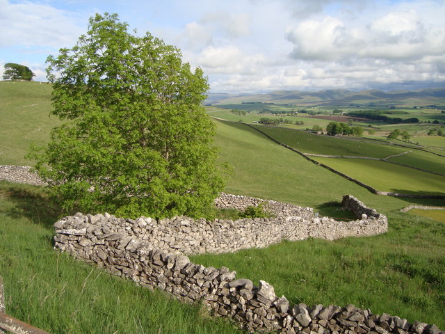Dry stone walls near Orton