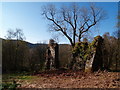 Remains of Thirlestane Tower, Ettrick Valley