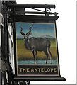 The sign for The Antelope