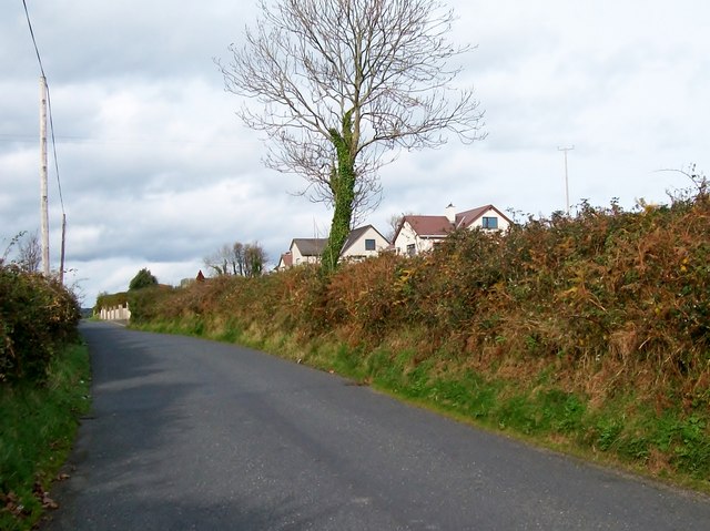 Ribbon development on the Dromara Road © Eric Jones :: Geograph Ireland