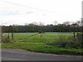 Field entrance to the S of Woodington Road