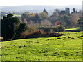 Fields near Donhead St Mary