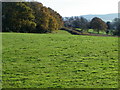ST8825 : Fields near Semley by Maigheach-gheal