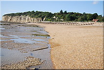 TQ8913 : Beach at Cliff End, low tide by N Chadwick
