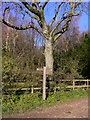 Bridleway sign near South Harting