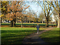 Highbury Fields