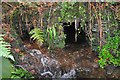 A stream which originated on Frog Moor emerges from under the B3230 into Stowford Plantation