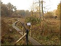 Boardwalk through the mire, Burnham Beeches