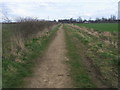 Footpath towards the A1M