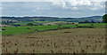 NT9707 : Farmland near Netherton (1) by Stephen Richards