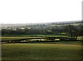 Sheep-pasture with hedges, in winter, seen from an attic window in Caterfield Lane