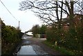 A chilly morning in Cemetery Lane