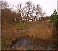 Pond, Largs New Cemetery