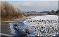 A very cold Chesterfield Canal 