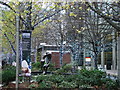 Tree lights and an interesting sculpture opposite the ice rink