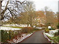 Country lane, Brent Knoll