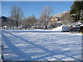 Donkeys in the snow near Llanwrtyd Wells