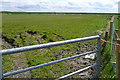 R3369 : Pasture at Islandavanna Upper by Graham Horn