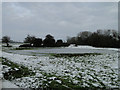 Pond formed after much rain and now frozen