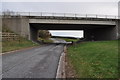 East Devon : Road Under the A30