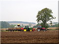 Harvesting Potatoes