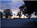SJ3712 : Sunrise at Rowton Park by Des Blenkinsopp
