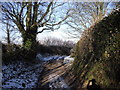 Well Lane, St Nicholas, Vale of Glamorgan