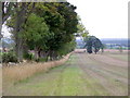 Stubble fields, Bolshan