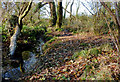 SO9095 : Brook in Park Coppice, Colton Hills, Wolverhampton by Roger  D Kidd