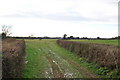 SY1098 : East Devon : Farm Track & Field by Lewis Clarke