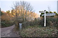 SY1199 : East Devon : Road Junction & Signpost by Lewis Clarke