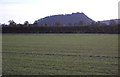 SJ5261 : Looking towards Beeston Castle by michael ely