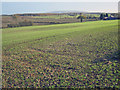 SO8848 : Arable land at Hermitage Farm by Trevor Rickard