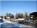 SJ3712 : November Snow near Rowton by Des Blenkinsopp