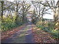 View along Chapel Lane, Tote Hill