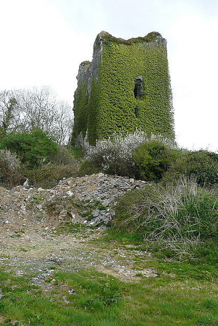 Dangan Castle © Graham Horn cc-by-sa/2.0 :: Geograph Ireland