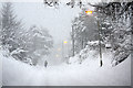 Snowfall, Dalnahainach Road