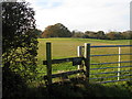 Footpath across farmland at Tote Hill