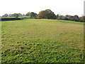 Farmland to the W of Chapel Lane