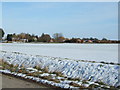 TF4917 : Snow covered field near Walpole St Andrew, Norfolk by Richard Humphrey