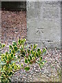 Bench Mark, Dairsie Parish Church