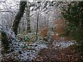 Path alongside the River Ebbw