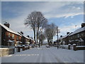 Theodore Road in the snow