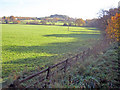 Meadows south of the A511