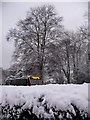 Talbot Woods: hedge and bus on a snowy Talbot Avenue