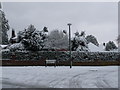 Talbot Woods: winter scene in Roslin Road South