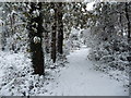 Bournemouth: Meyrick Park perimeter path